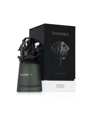French Avenue Thunder Мъжки парфюм 100 ml